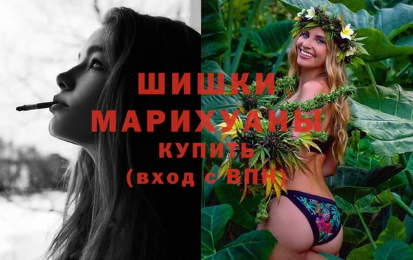 сатива Бугульма
