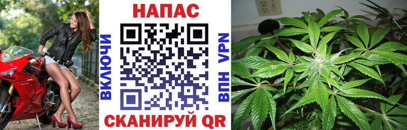 Бошки Шишки семена  где найти   Щучье 